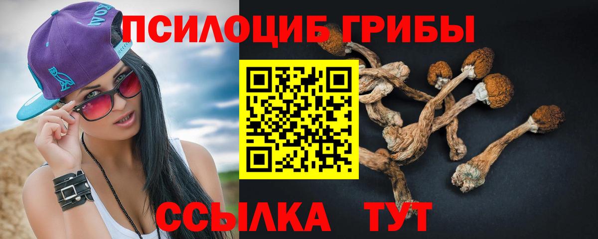 сколько стоит  Вход с VPN  Мценск  Псилоцибиновые грибы GOLDEN TEACHER 